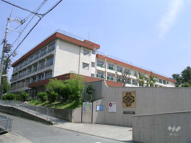 緑地小学校