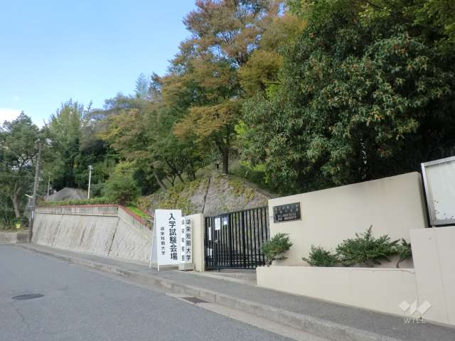 頌栄幼稚園