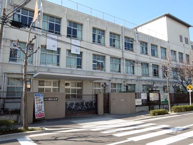 啓発小学校