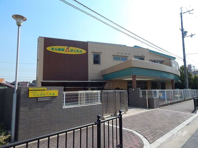 たんぽぽtriangle学園