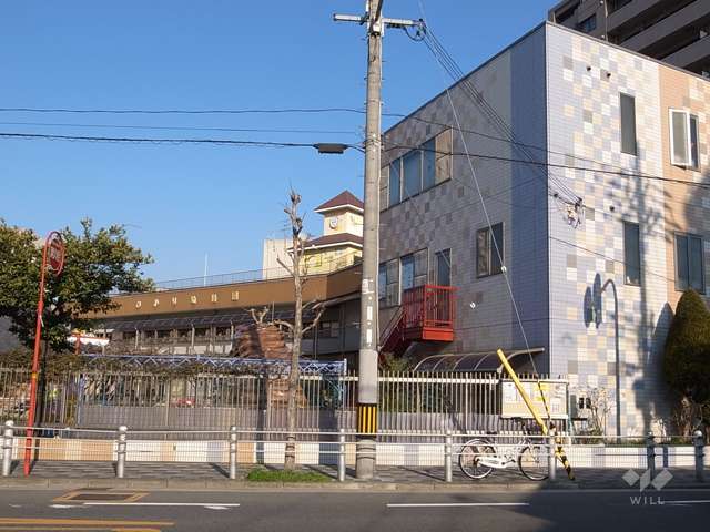 ひかり幼稚園