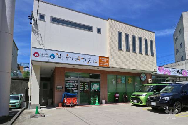 わかばコスモ 極楽園