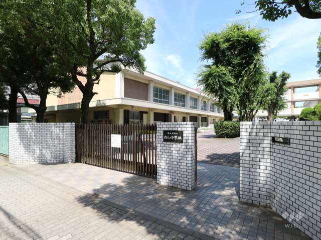 白山中学校