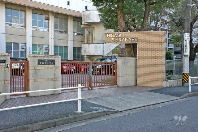 東白壁小学校