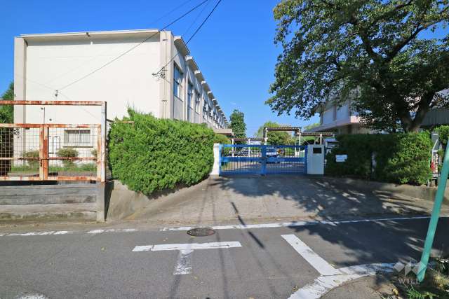 守山小学校