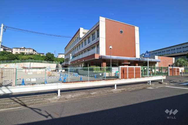 西城小学校