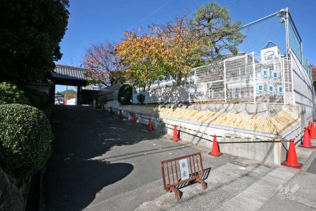 天道幼稚園