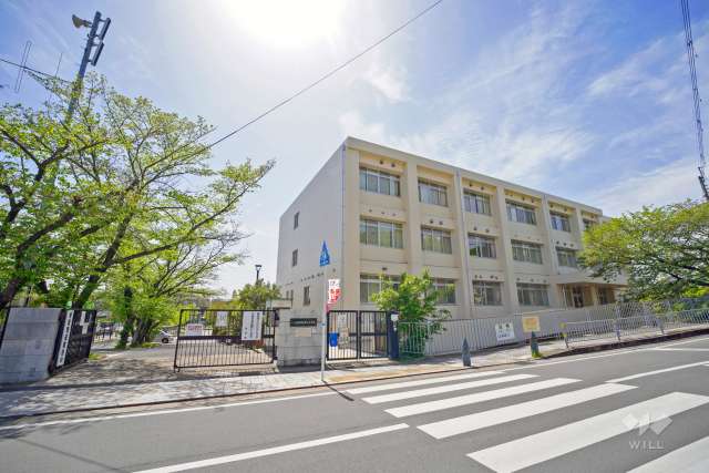 第三小学校