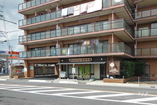 Memory tree 旭保育園