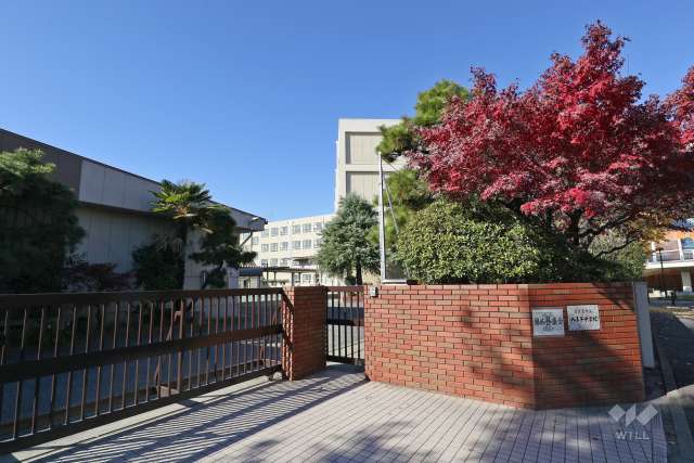八王子中学校
