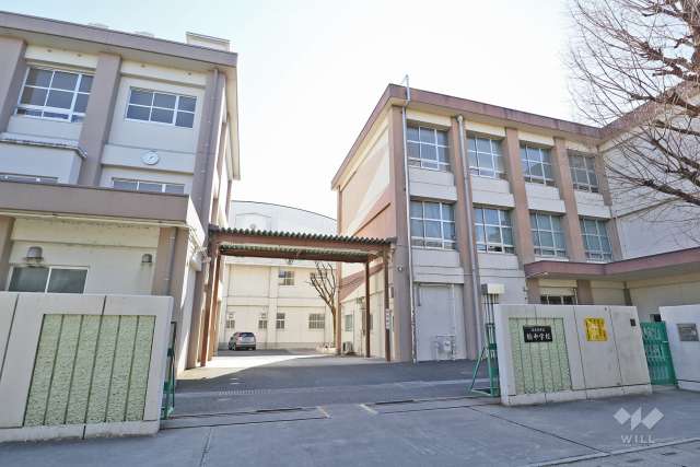 楠中学校