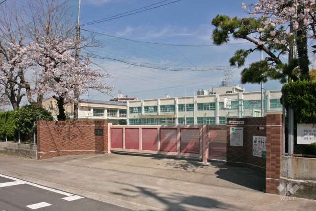 柴田小学校