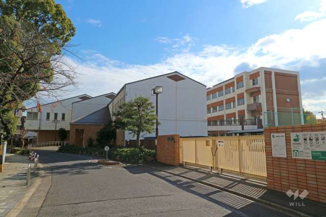 大宝小学校