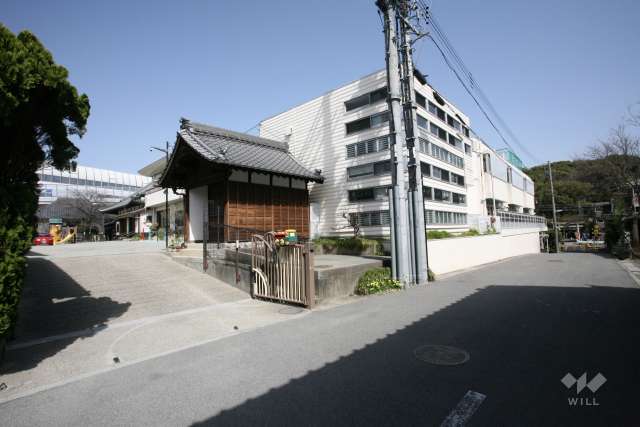有松幼稚園