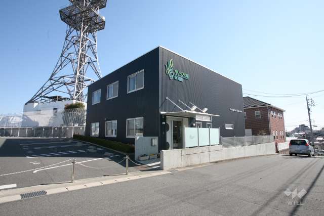 オリーブの樹保育園