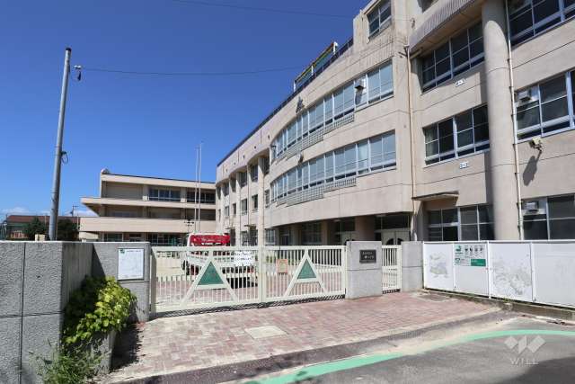 柳小学校