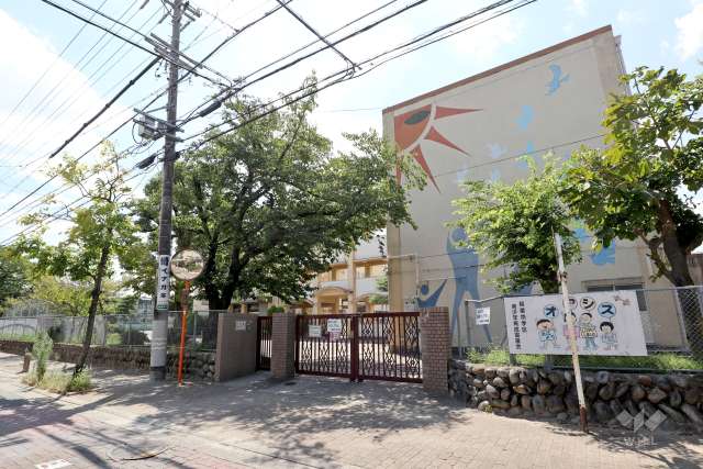 稲葉地小学校