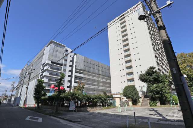 桂幼稚園