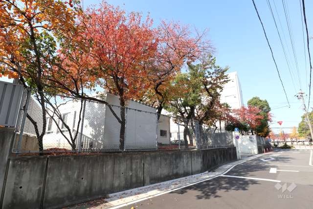 玉川小学校