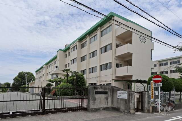 柏原小学校