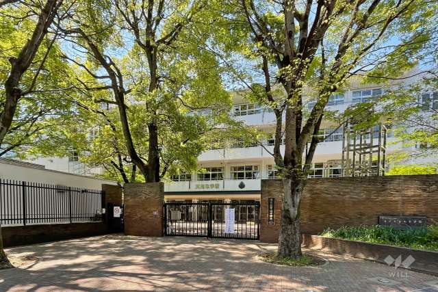 青山中学校