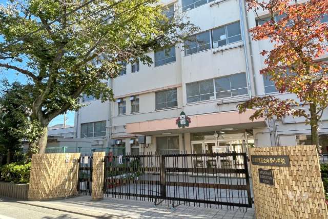 向原小学校