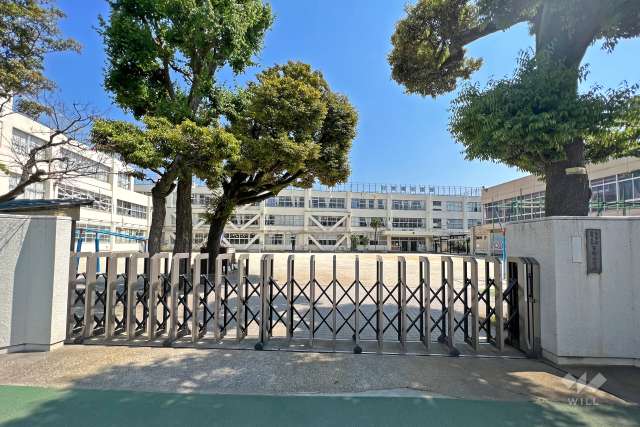 京陽小学校
