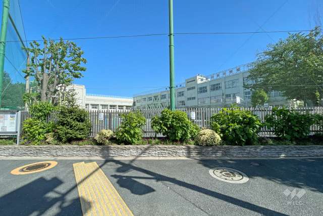 小山台小学校