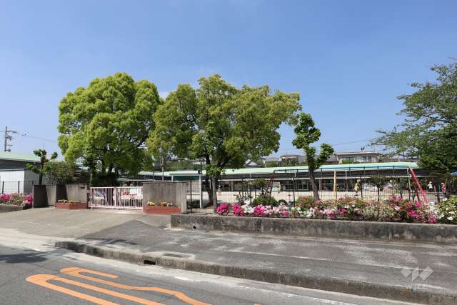 追分保育園