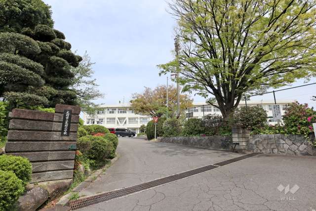 大府小学校