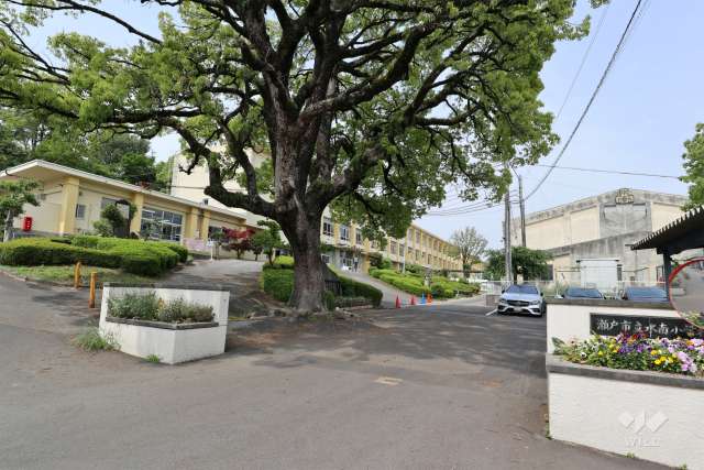水南小学校
