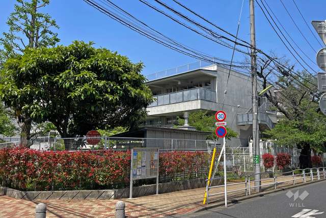 桜丘小学校