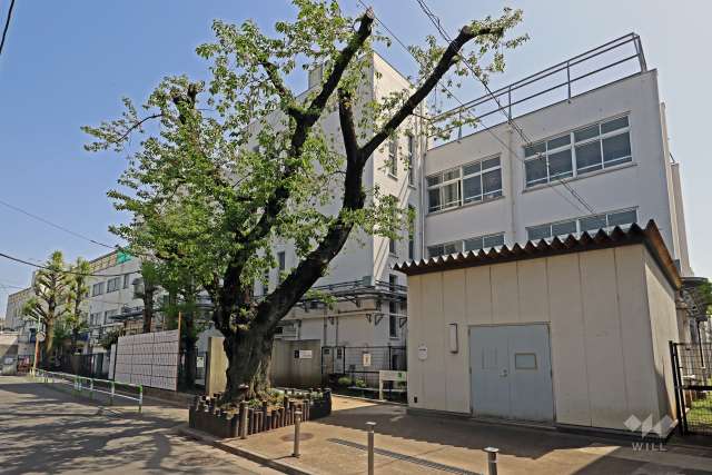 千歳小学校