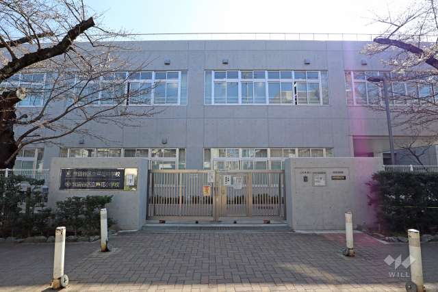 芦花小学校