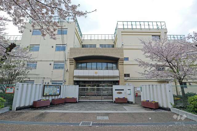 駒留中学校
