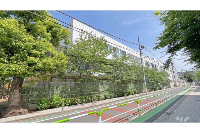 昭和女子大学附属昭和こども園