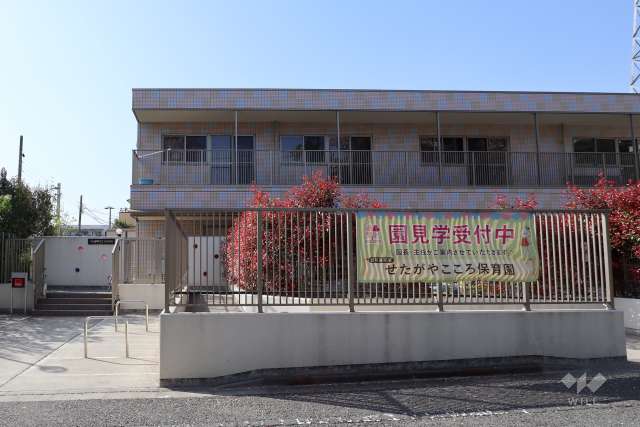 せたがやこころ保育園