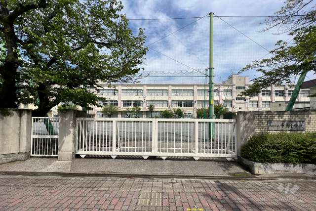 千鳥小学校