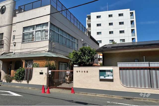 嶺町幼稚園