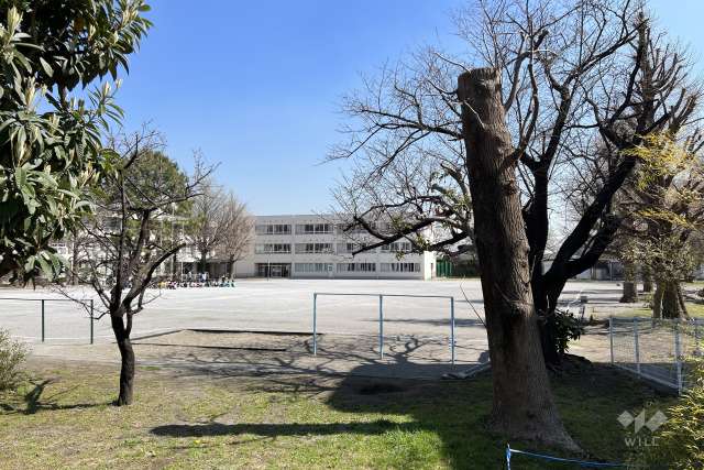 下沼部小学校