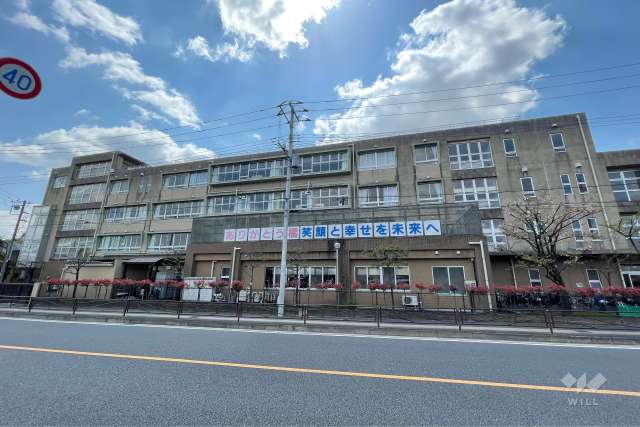 橘小学校