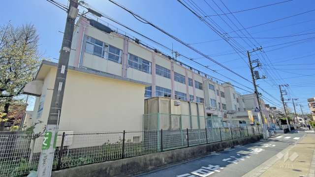 中島根小学校