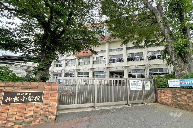 神根小学校