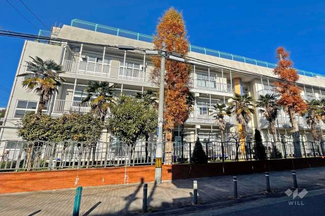 並木小学校