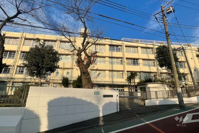 向原小学校