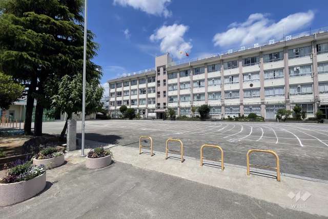葛飾小学校