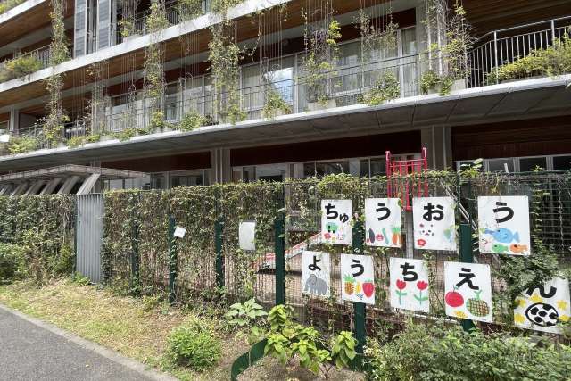 中央幼稚園