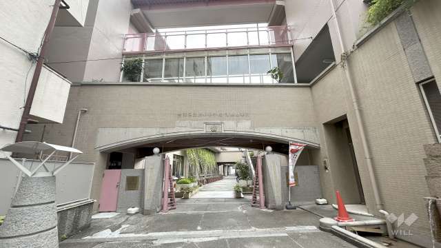 清島幼稚園
