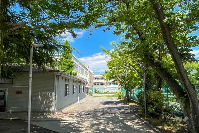 杉並第七小学校