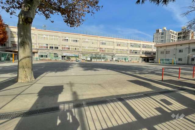 桃井第三小学校
